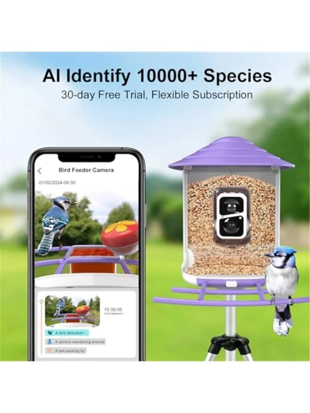 New TUC Bird Feeder with Camera 2K HD Live with 32GB Card Auto Detect
